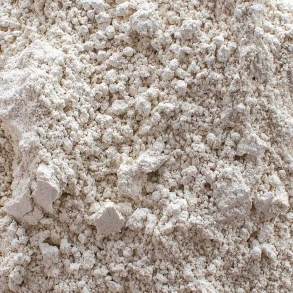 25 Lb. Diatomaceous Earth Swimming Pool Filter Media 2