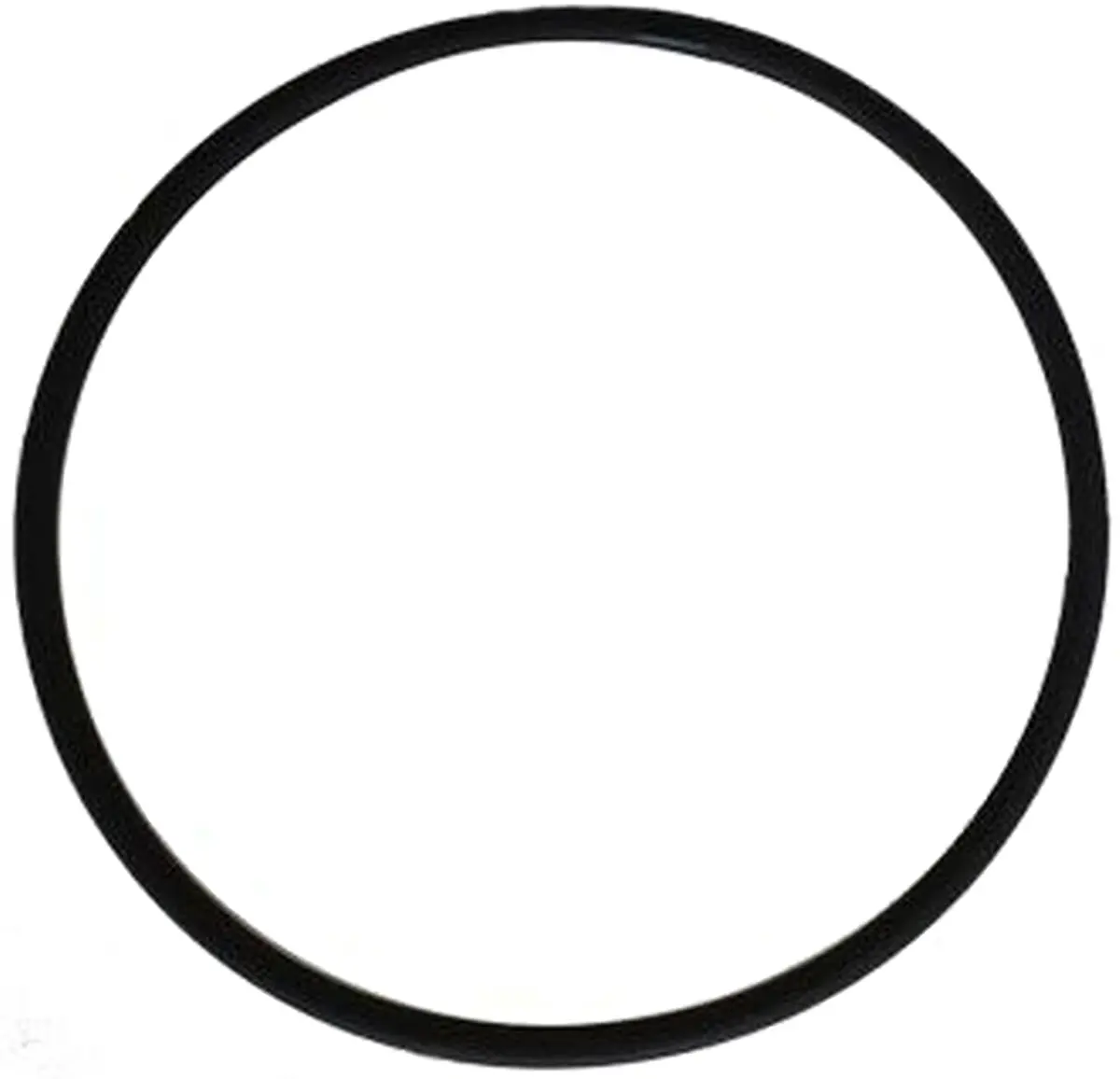 O-Ring For Pool Frog Above Ground Caps 1