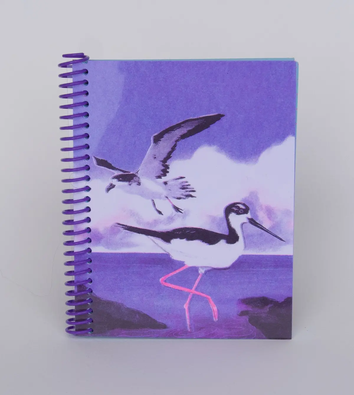 Pencil Urchin Press Spiral Bound Notebooks, Small 1