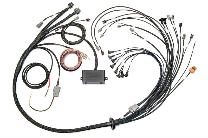 Haltech Elite 2500 Engine Wiring Harness For Ford Coyote 5.0L — Ev1 Injector & Early Cam Solenoid Connectors 1