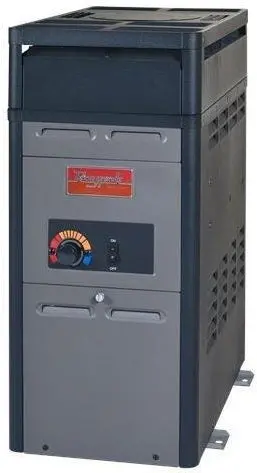 Raypak 105K Btu Above Ground Natural Gas Pool Heater 1
