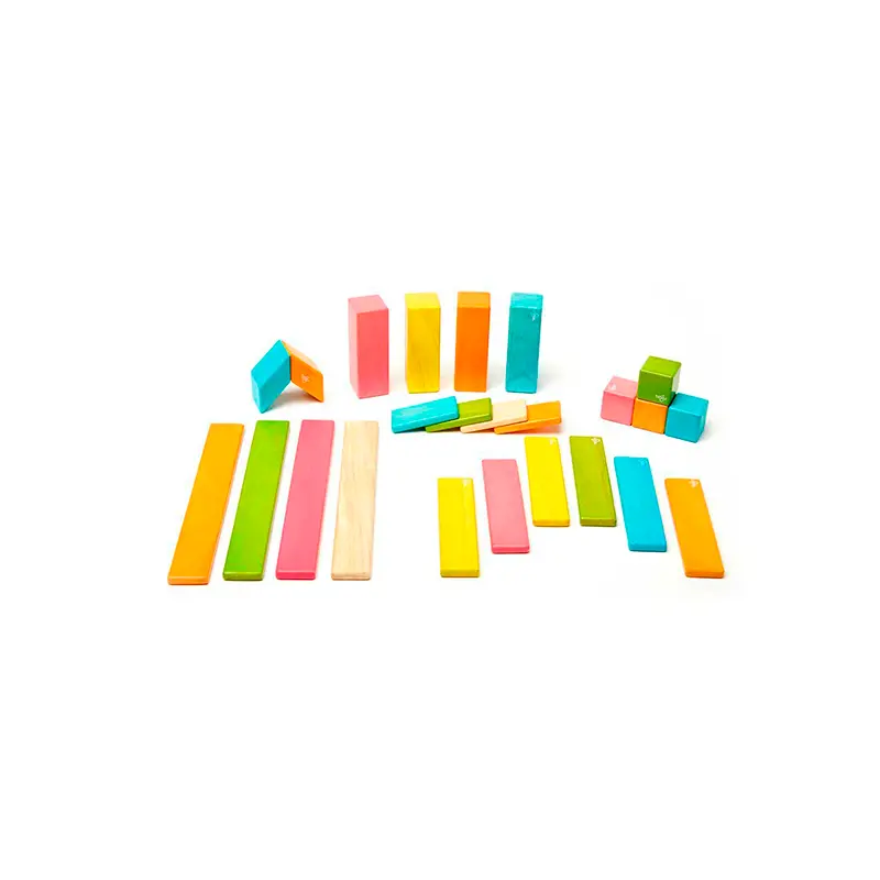 Tegu 24-Piece Set  Magnetic Wooden Blocks  Tegu Classics 1