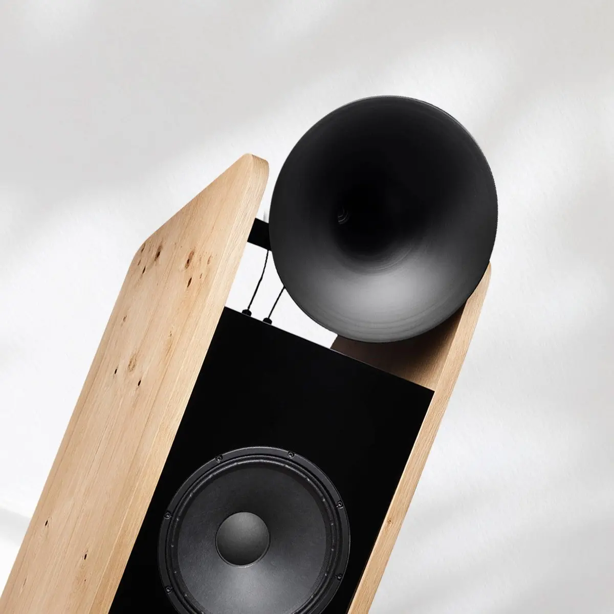 Tobian Sound System 15 Signature Horn Speaker 1