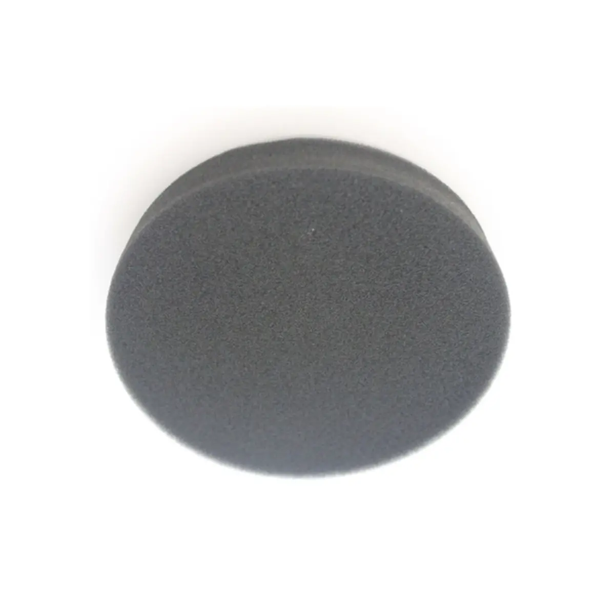 Foam Pre-Motor Filter For Cleanview Canister Vacuums 1