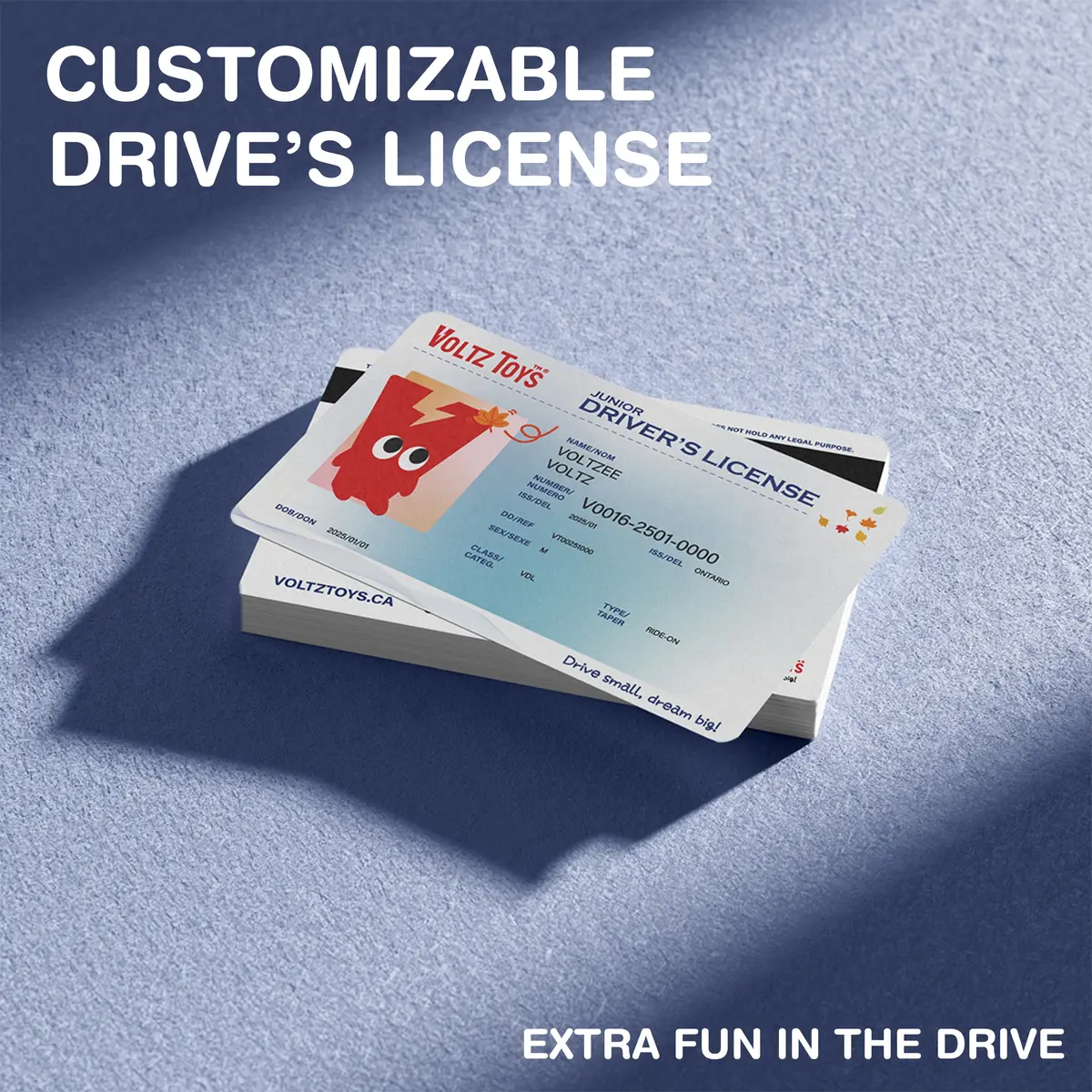 Kid's Driver's License 1
