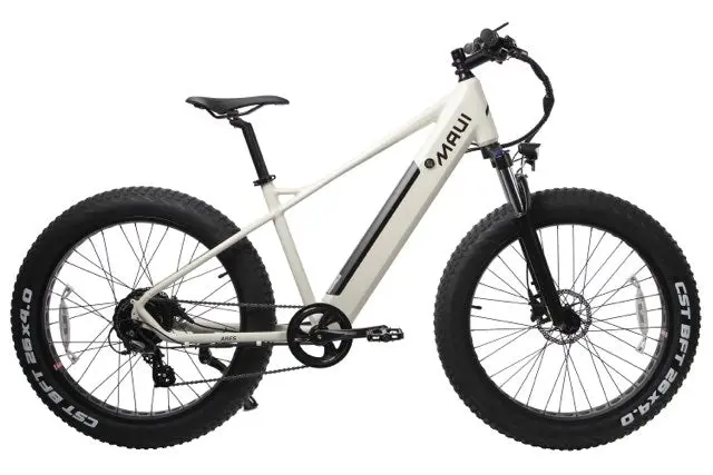 Ares Electric Fat Bike 2