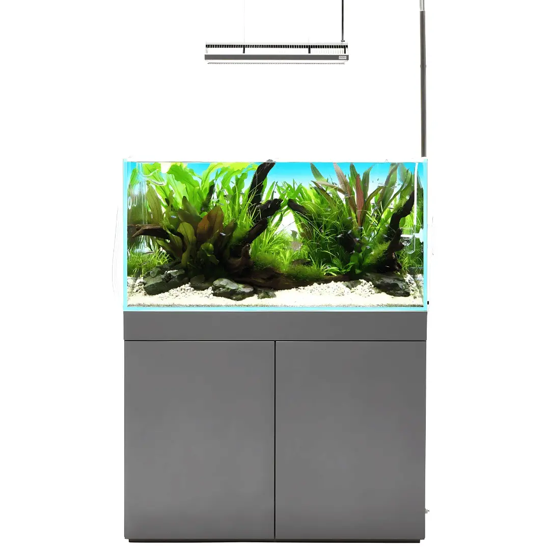 2.6 Feet Ultra Clear Open Tank (L*W*H = 80*40*40 Cms) | 8Mm 1