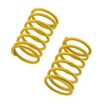 22027 Front Shock Spring 1