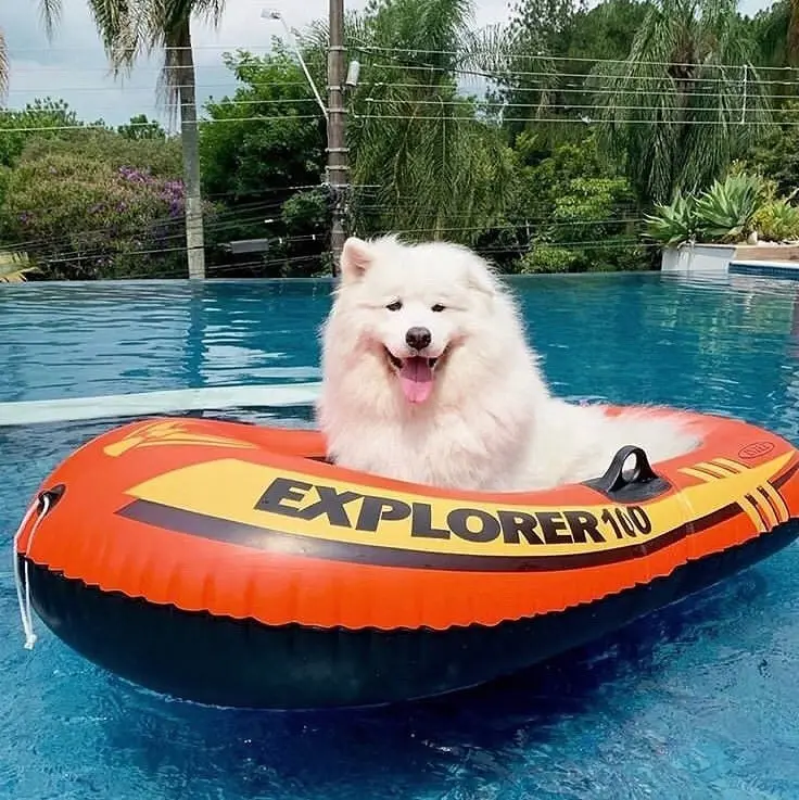 Intex Explorer™ Inflatable Boats 1