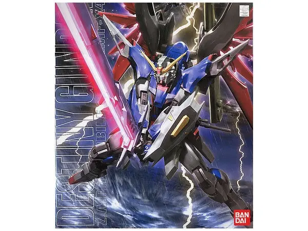Mg 1/100 Destiny Gundam 1