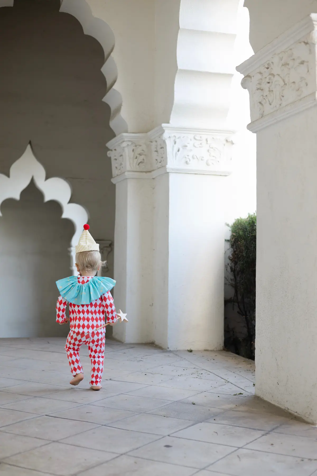 Band Of The Wild Harlequin Clown Costume 4