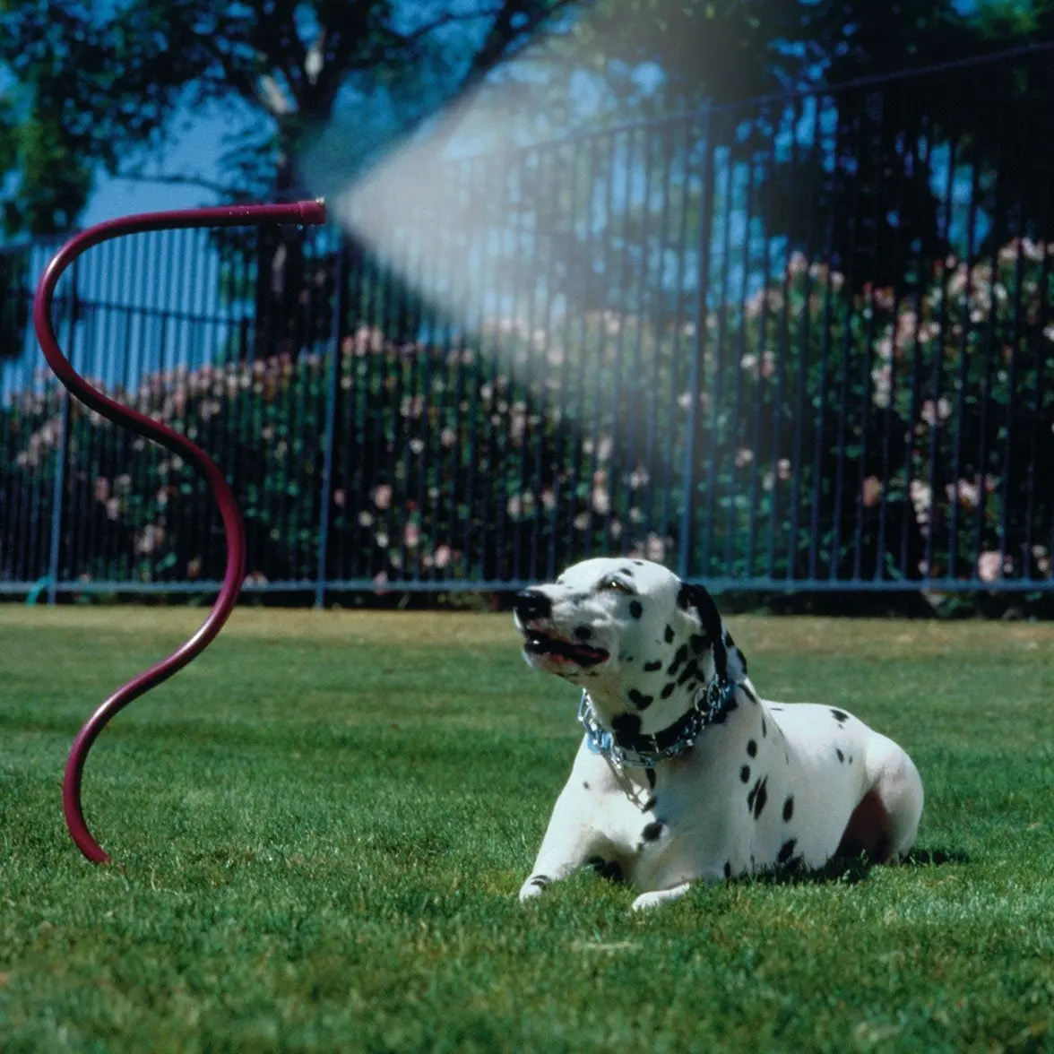 Orbit Cobra Mist Stand Sprinkler 1