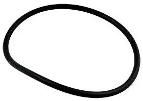 Waterway 805-0436 O-Ring For 6" Trap Cover 1