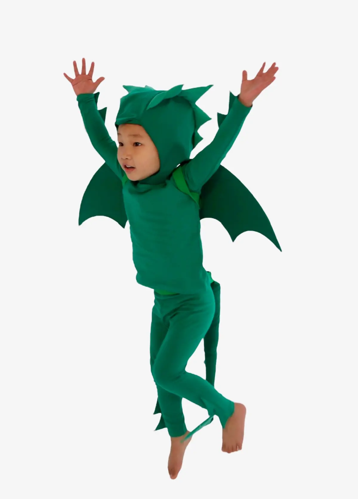 Band Of The Wild Green Dragon Costume 1