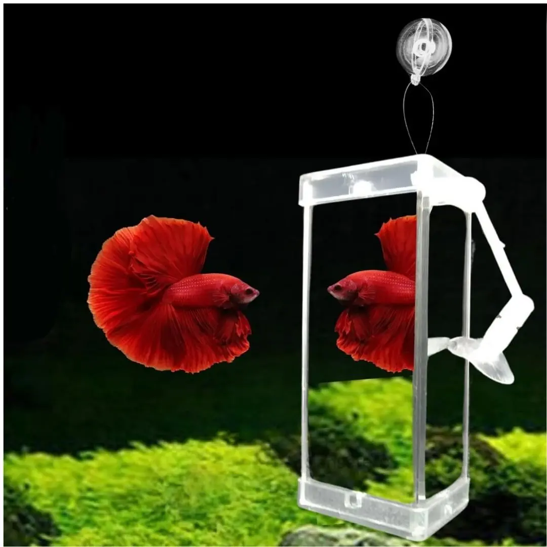 Jeneca |  Rumble Fish Training Mirror | Dyj - 10 1