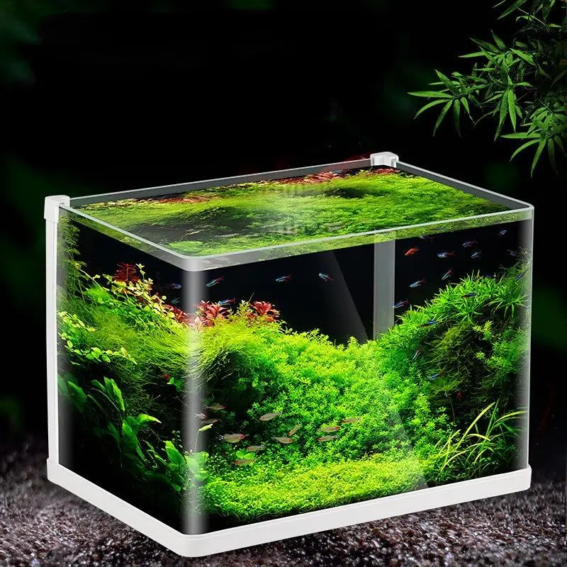 Extra Clear Open Tank (L*W*H = 50*33*35 Cm) 5Mm 1
