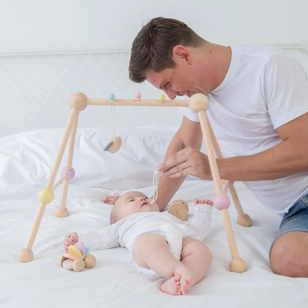 Plantoys Play Gym - Pastel 2