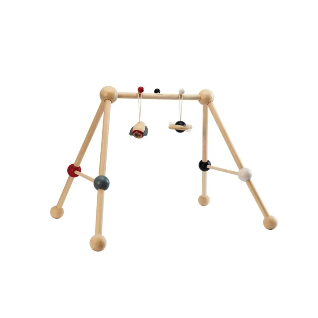 Plantoys Play Gym - High Contrast 1
