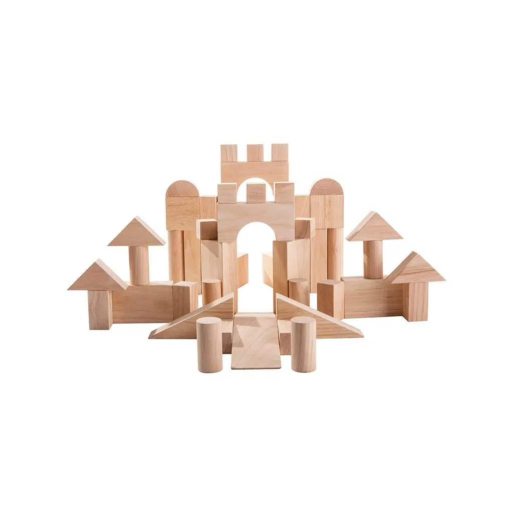 Plantoys 50 Unit Blocks 1
