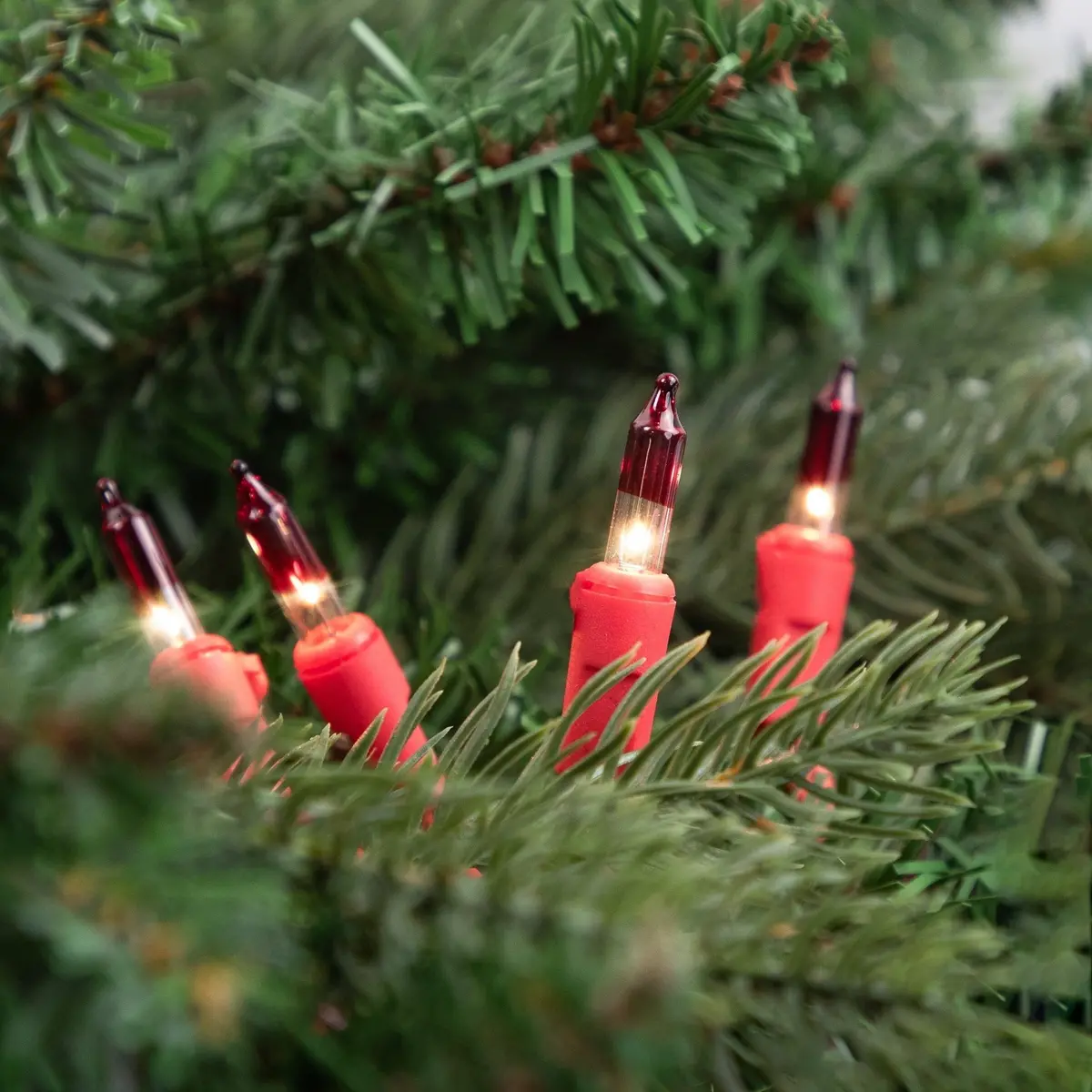 Set Of 50 Peppermint Twist Mini Christmas Lights On A Red Wire 1