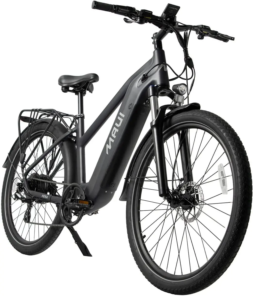 Hera Electric City Bike 1