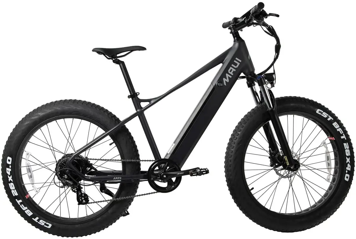 Ares Electric Fat Bike 2
