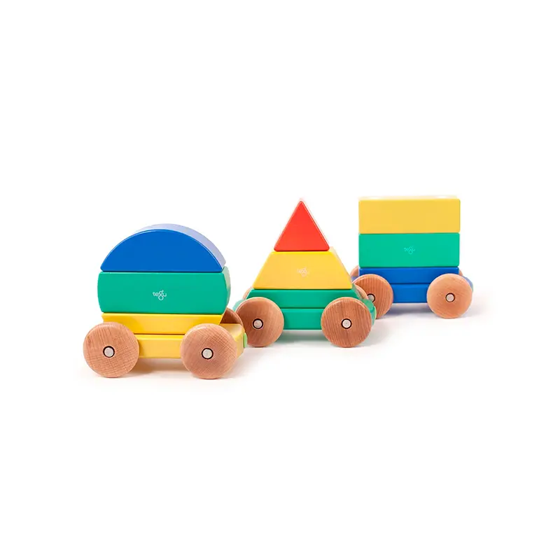 Tegu Magnetic Shape Train  Tegu Baby And Toddler  9 Pieces 1