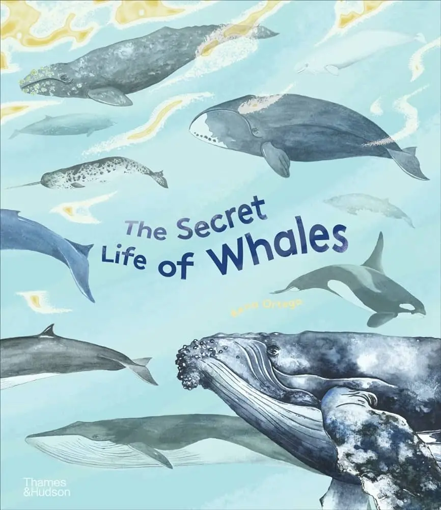 The Secret Life Of Whales 1