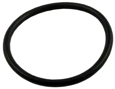 Waterway 805 0224 O-Ring Fitting 1