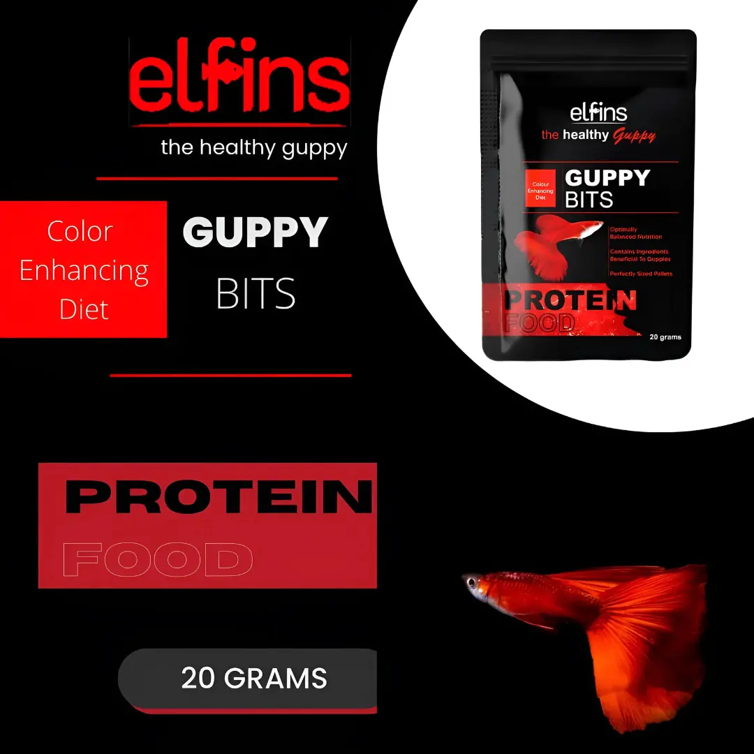 Food Elfins Guppy Bits | 20Gm 1
