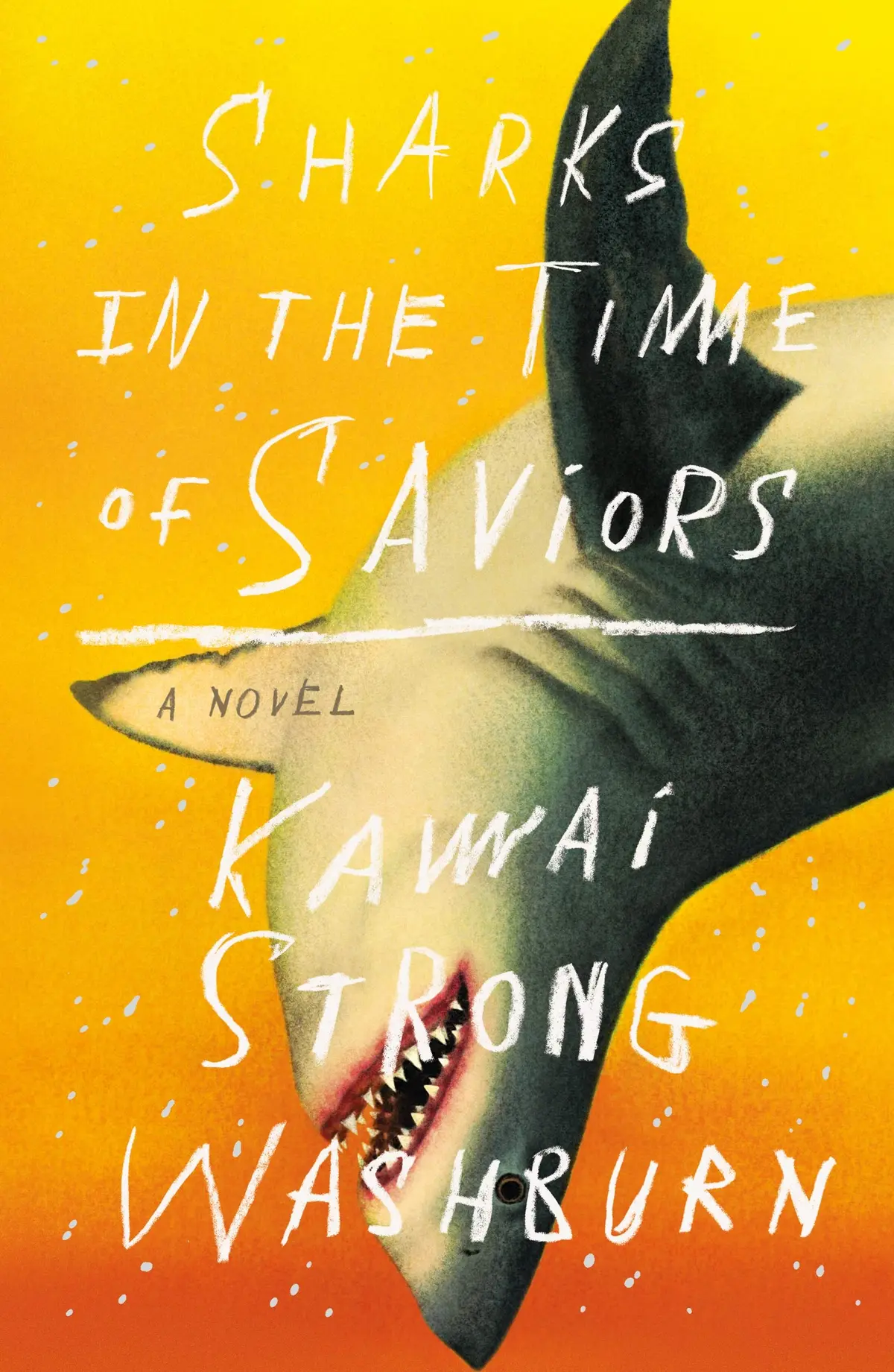 Sharks In The Time Of Saviors: A Novel 1