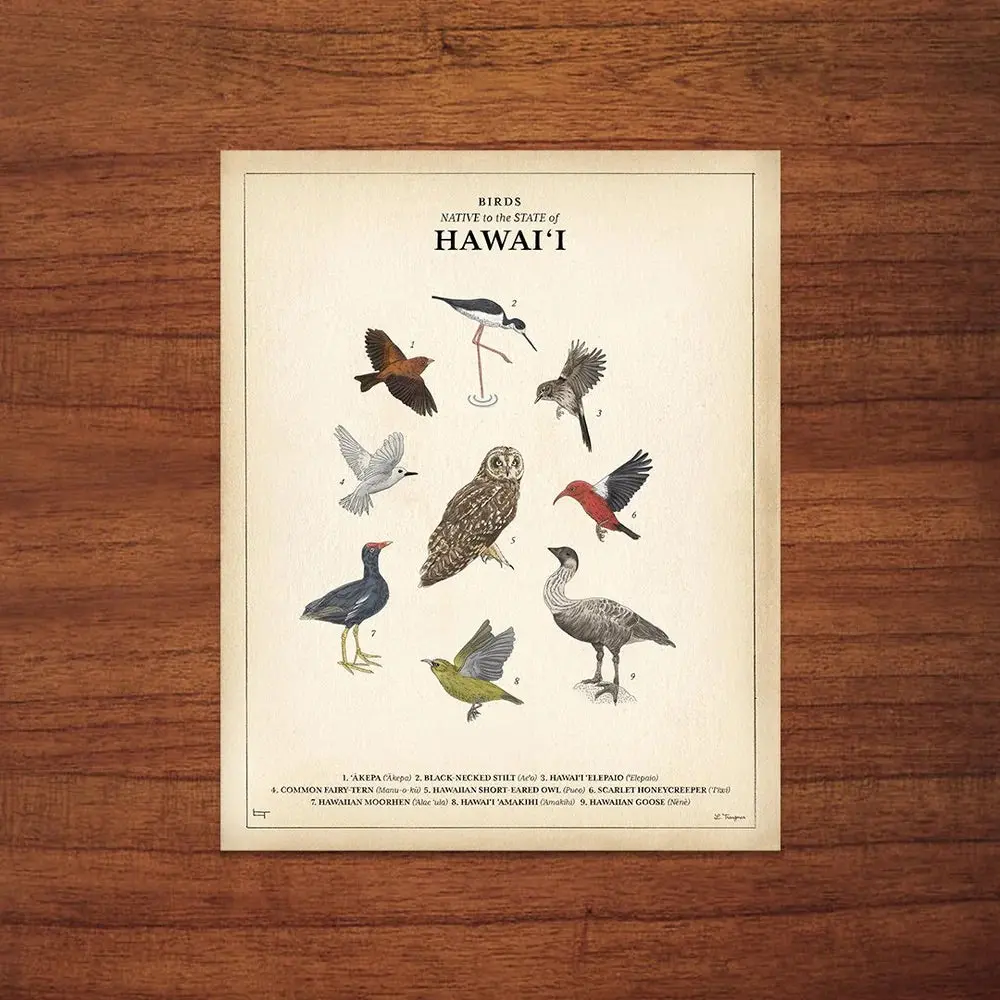 Lauren Trangmar 8"X10" Birds Native To The State Of Hawaiʻi Print 1