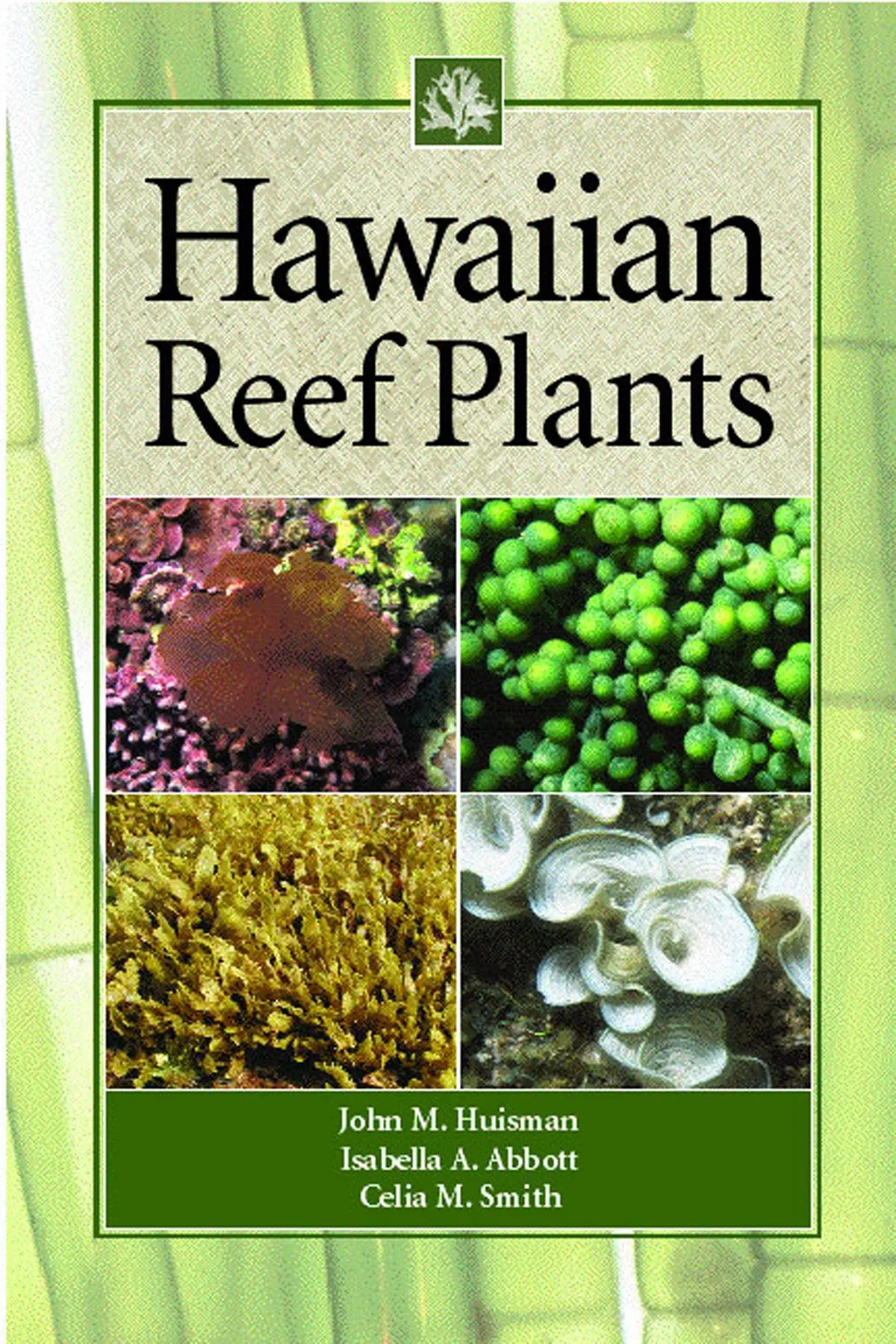 Hawaiian Reef Plants 1
