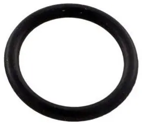 Pentair 192115 O-Ring Drain Plug 1