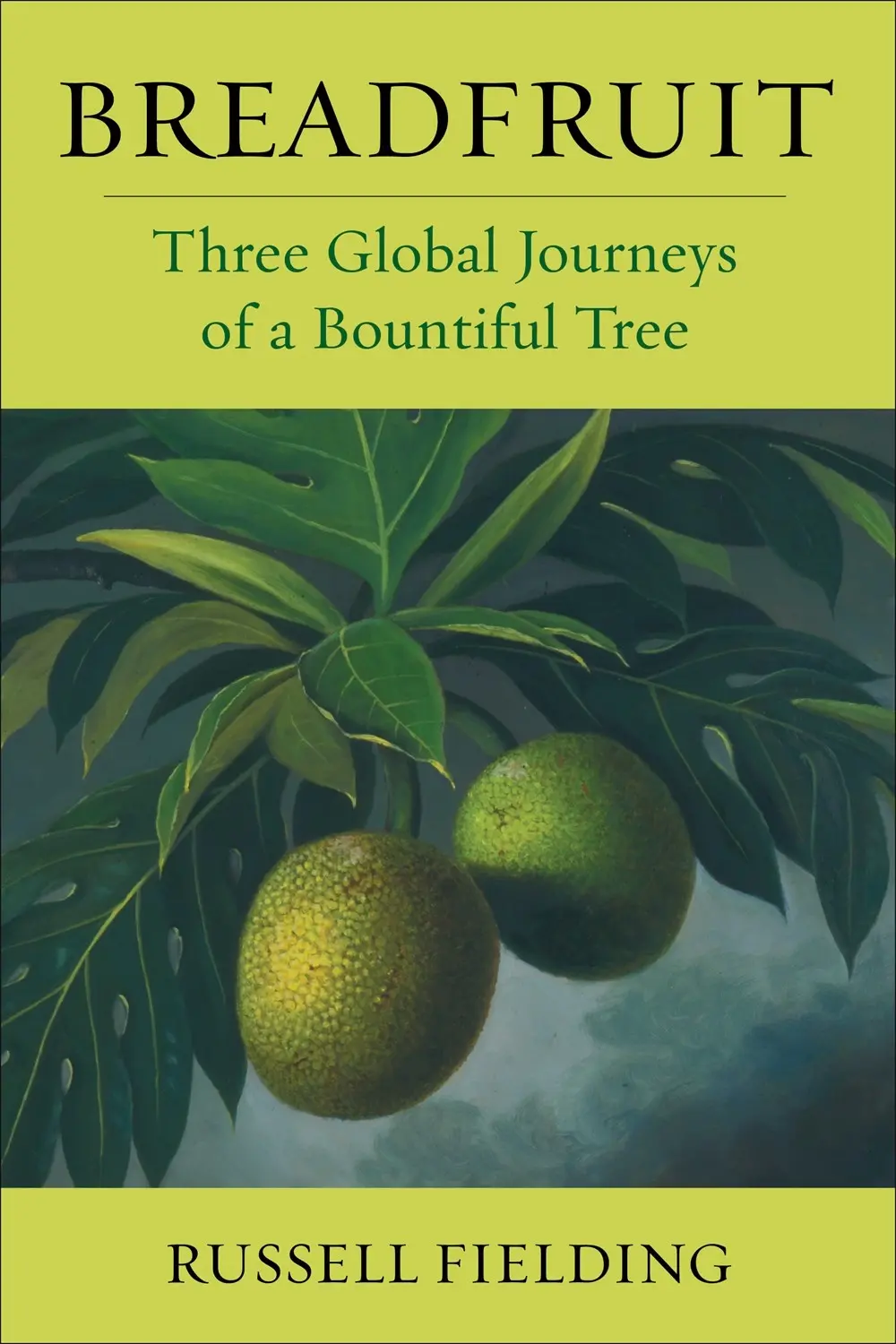Breadfruit: Three Global Journeys Of A Bountiful Tree 1