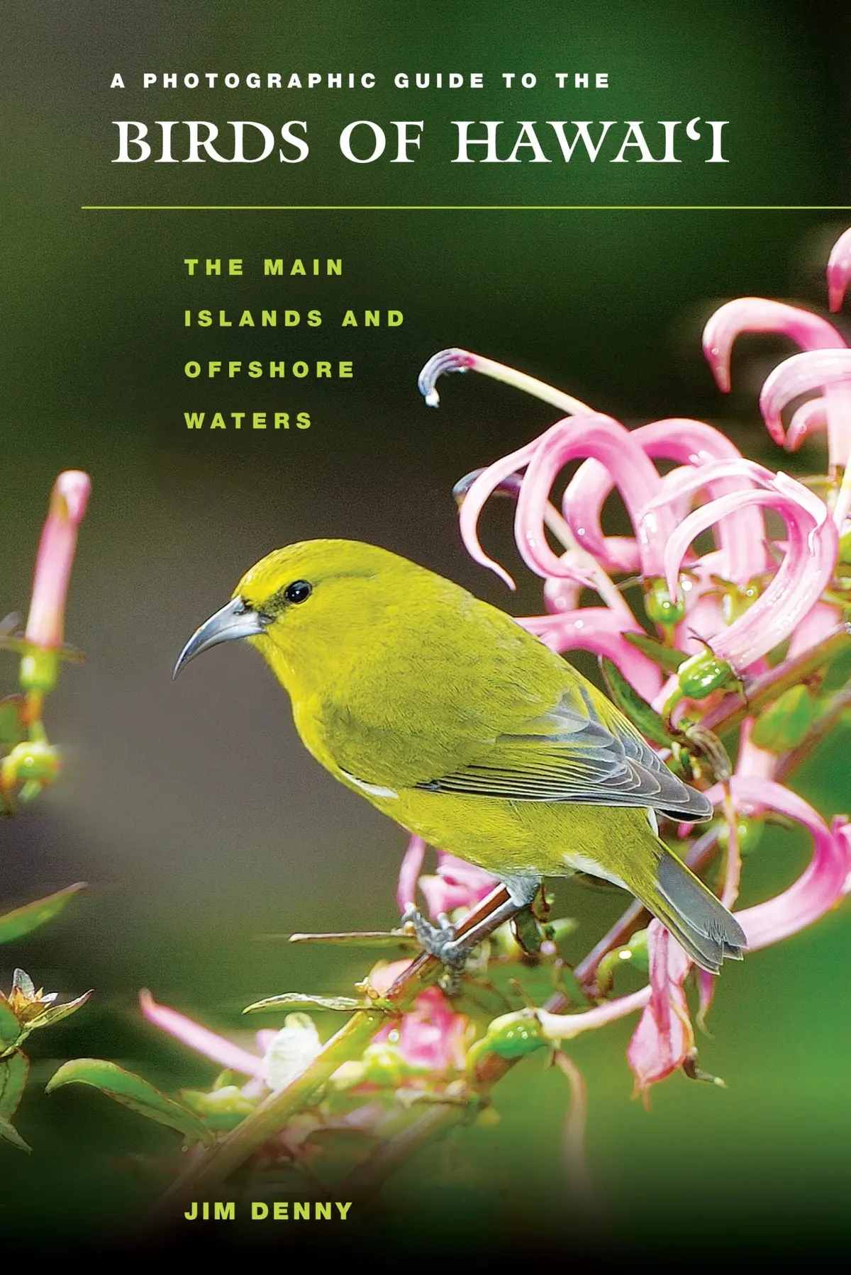 Photographic Guide To The Birds Of Hawaiʻi, A 1