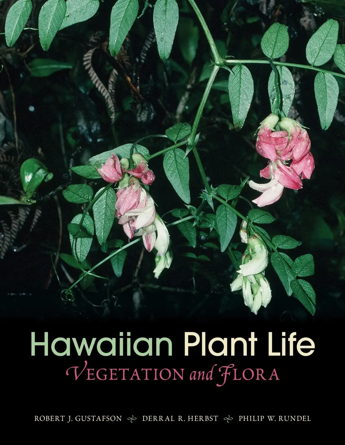 Hawaiian Plant Life: Vegetation And Flora 1