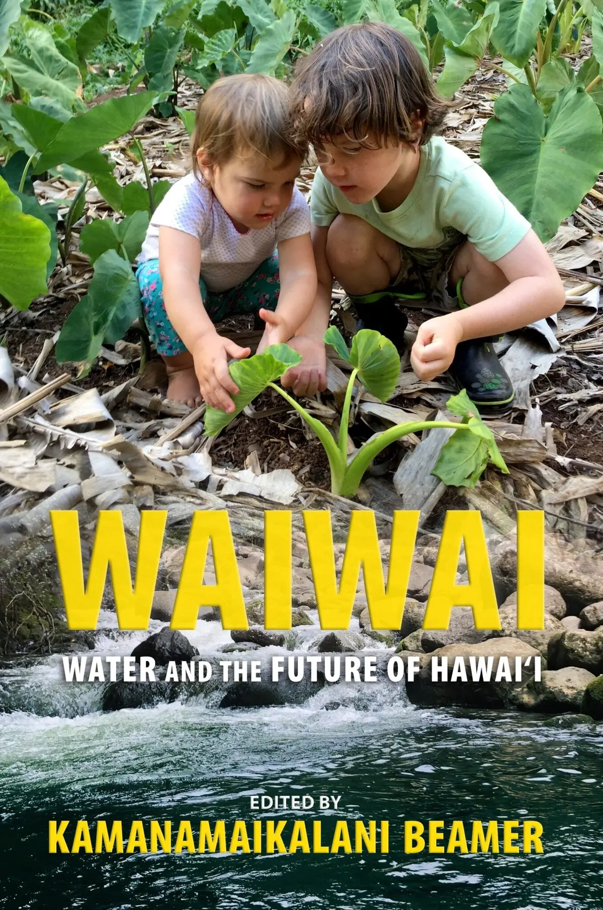 Waiwai: Water And The Future Of Hawai‘I 1