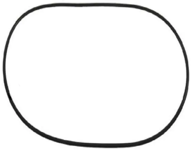 Waterway 805-0460 O-Ring Lid 1