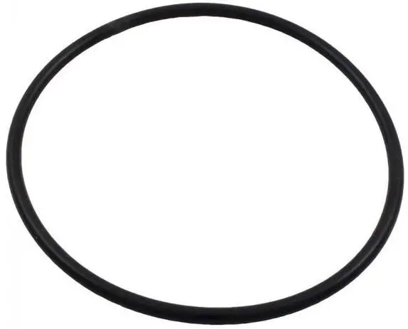 Waterway 805-0136 O-Ring Air Relief 1