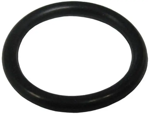 Waterway 805-0116Ep O-Ring Adapter 1