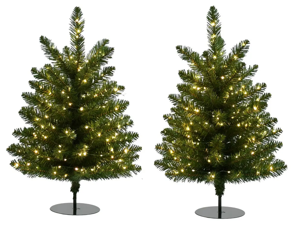24" Walkway Cascade Light Trees (Set Of 2) 1