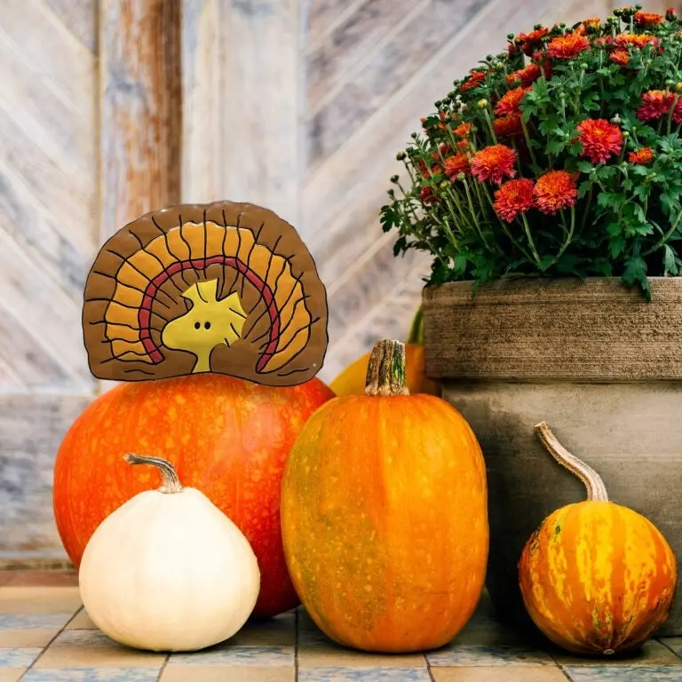 Peanuts® Woodstock/Turkey Pumpkin Press-In Decoration 1