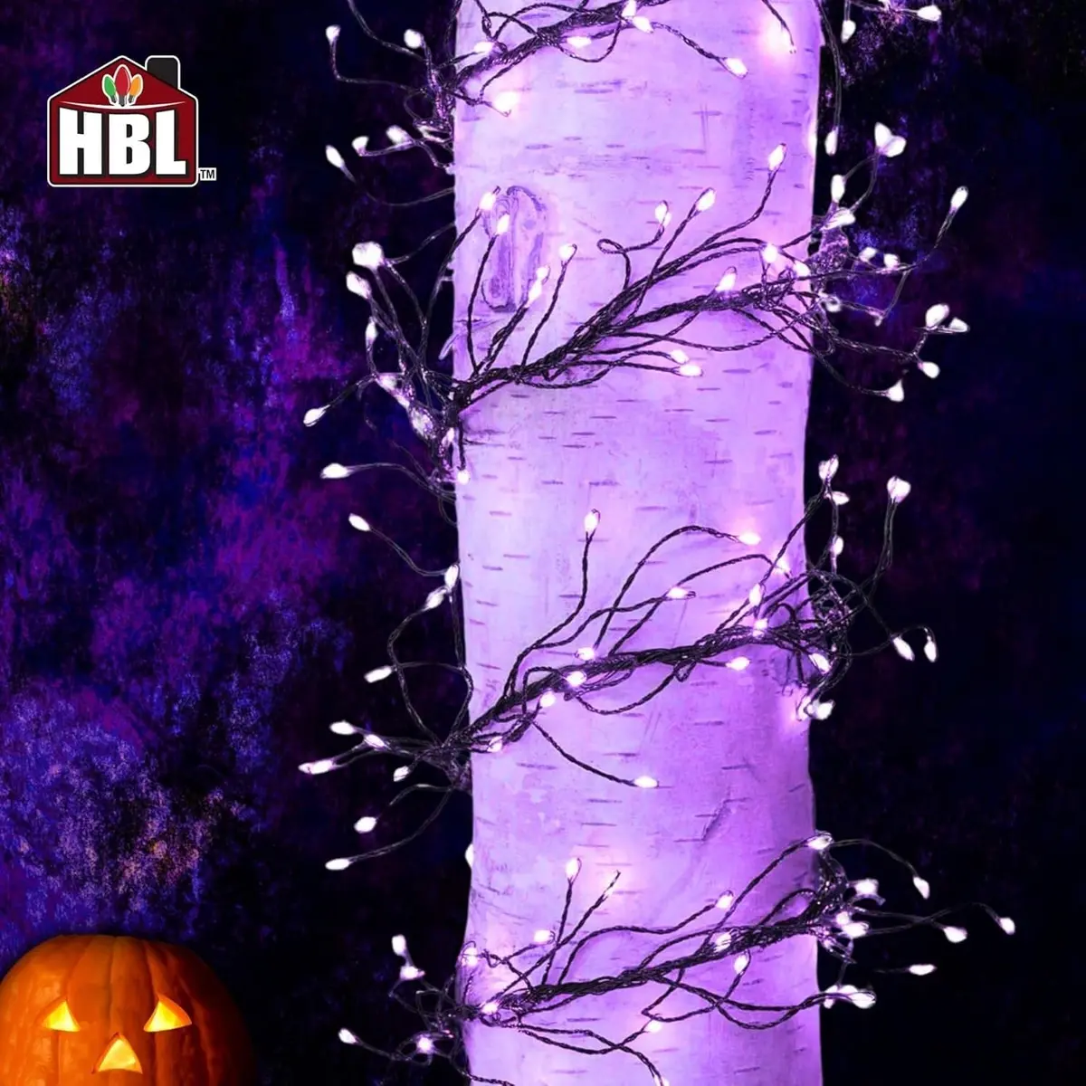 Set Of 250 Big Seed Connectable Cluster Lights 1