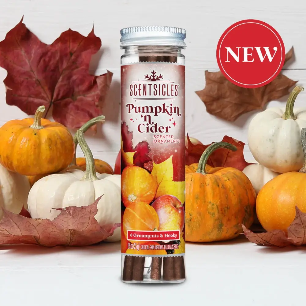 Set Of 6 Pumpkin 'N Cider Scented Ornament Sticks From Scentsicles 1