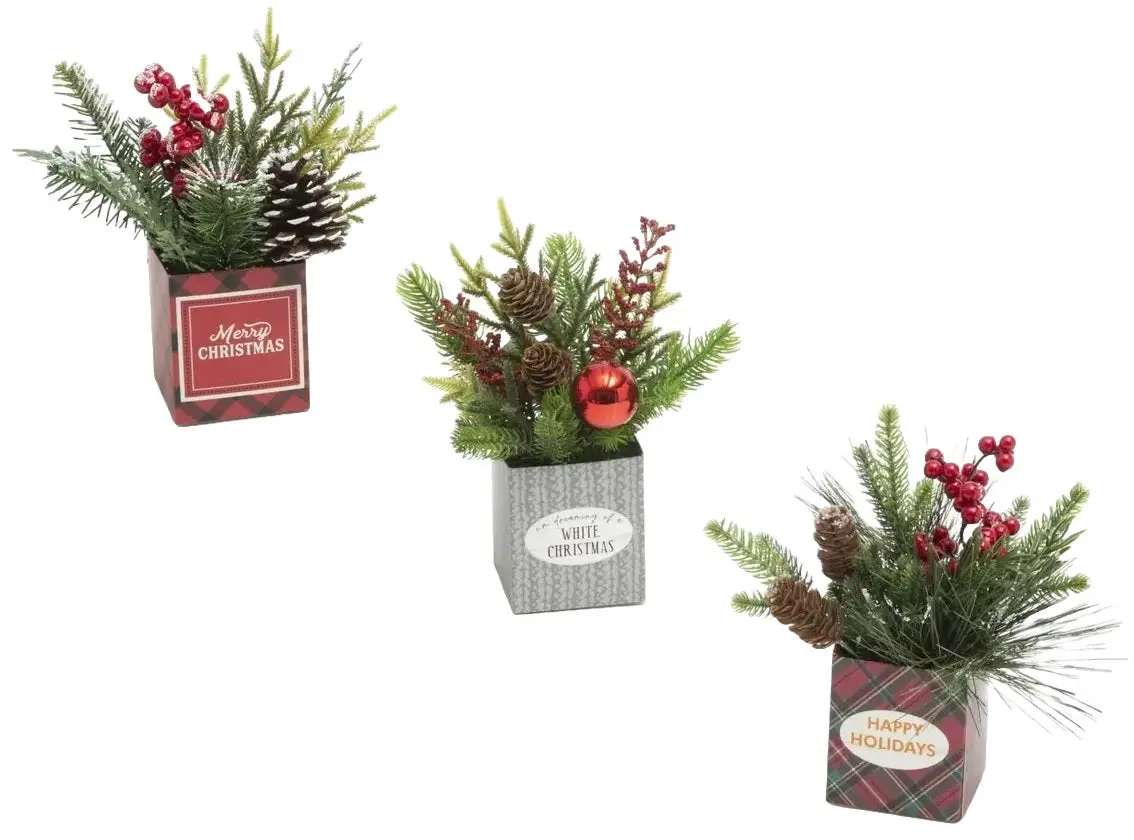 8" Holiday Potted Pine Décor Box 1