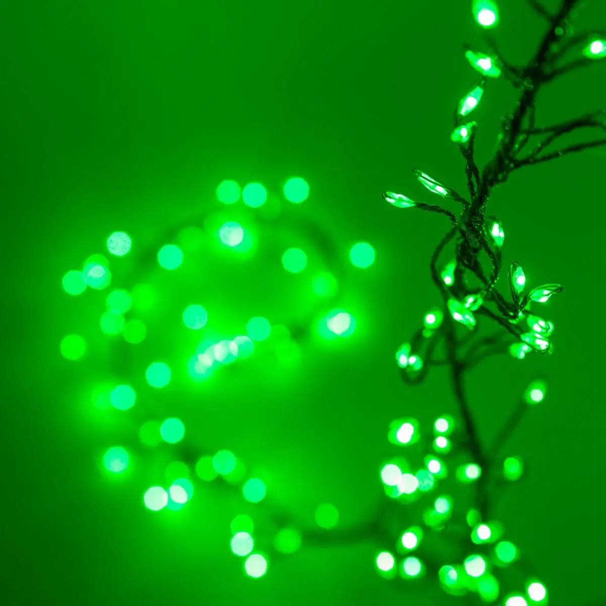 Set Of 270 Big Seed Led Cluster Micro Connectable Lights 1