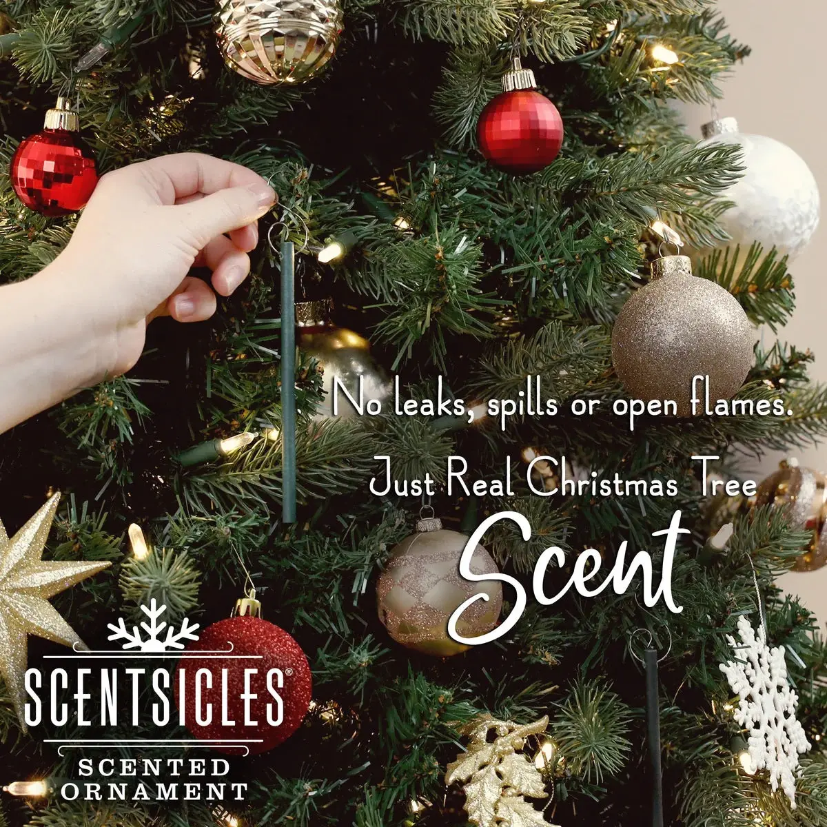 Set Of 6 Two Dashes Of Cinnamon Scented Ornament Sticks From Scentsicles 2