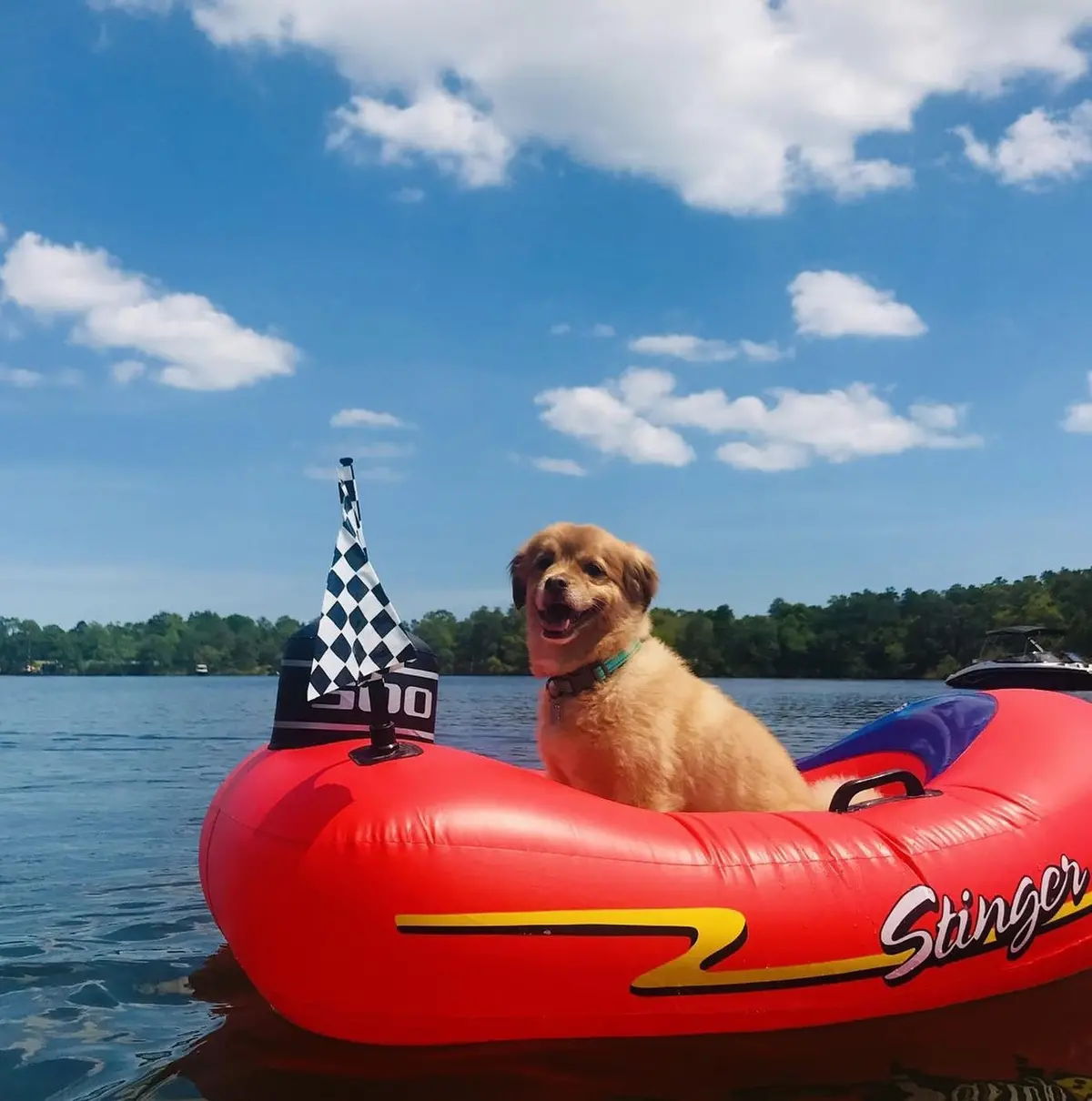 Swimline Kids Inflatable Stinger Speedboat Float 1