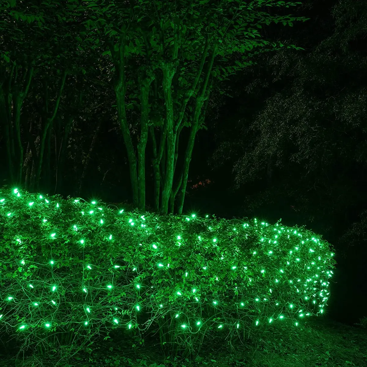 Set Of 100 Professional Grade Christmas Led Net Lights 1